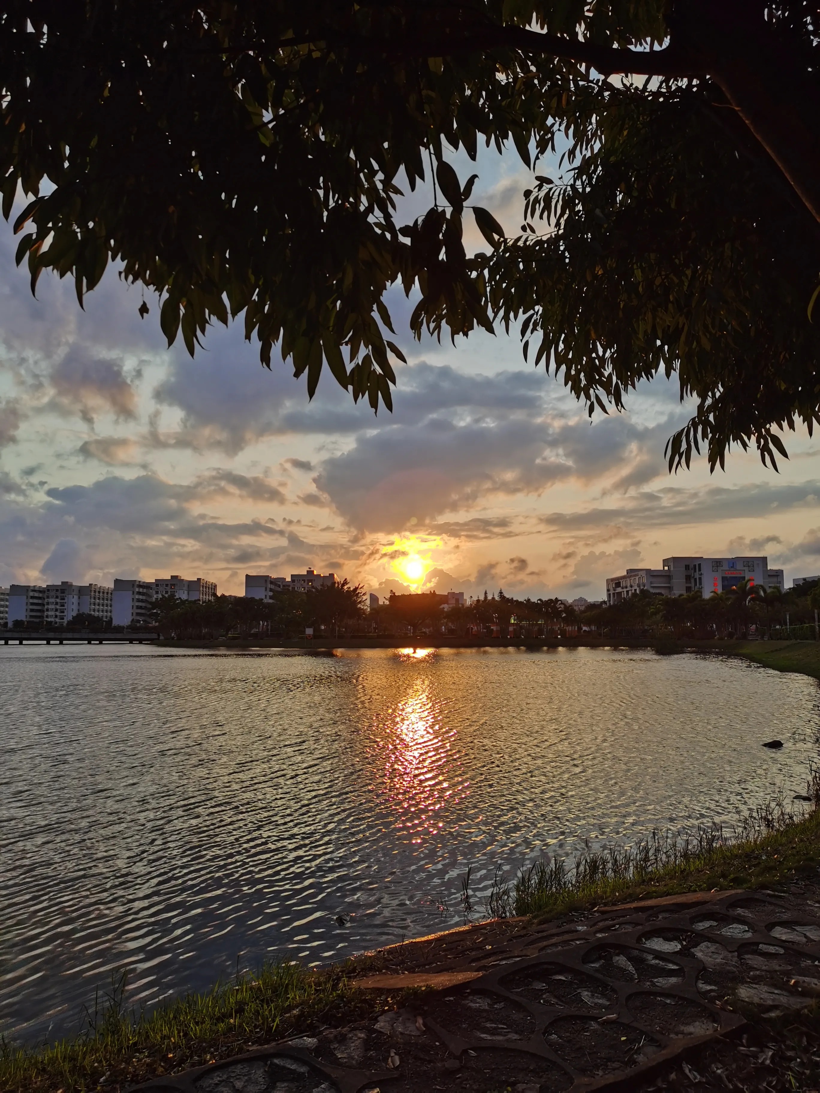 请输入图片描述