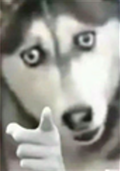 停止你们的内卷行为！